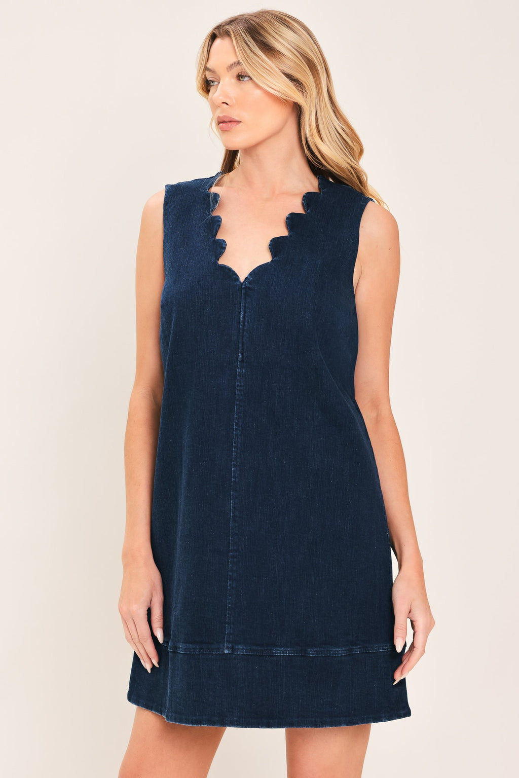 BLUE CLOUD DENIM MINI DRESS